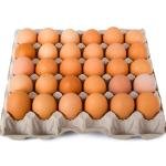 VALUE-COMBO EGGS TRAY (30)
