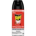 RAID  CRAWLING INSECT KILLER 300ML